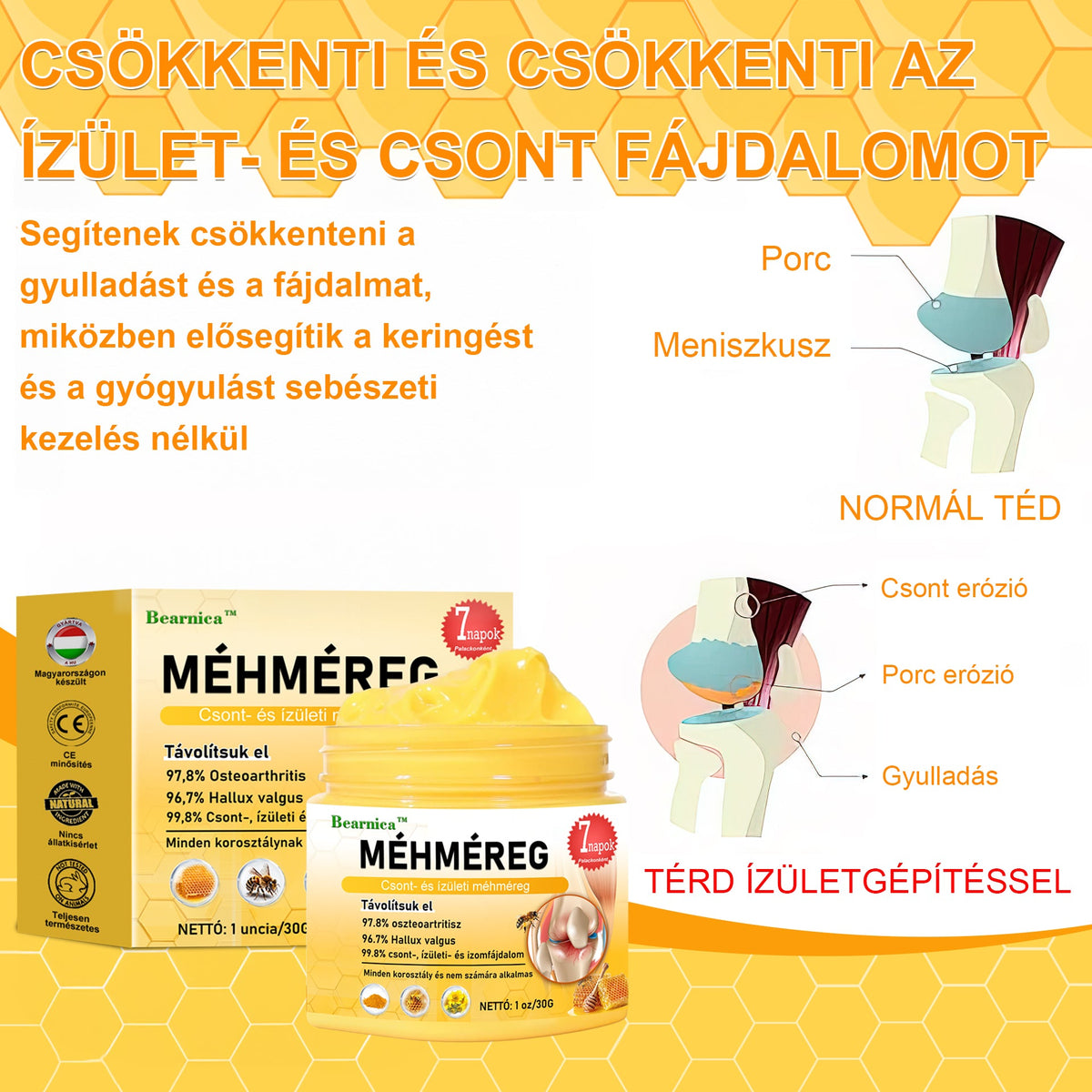 🐝🌿🐝 BEARNICA™ Bee Venom Advanced ízület- és csontkezelő krém🔥 (Utolsó napi akció, 80% kedvezmény)