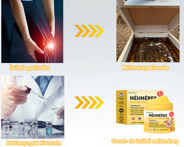 🐝🌿🐝 BEARNICA™ Bee Venom Advanced ízület- és csontkezelő krém🔥 (Utolsó napi akció, 80% kedvezmény)